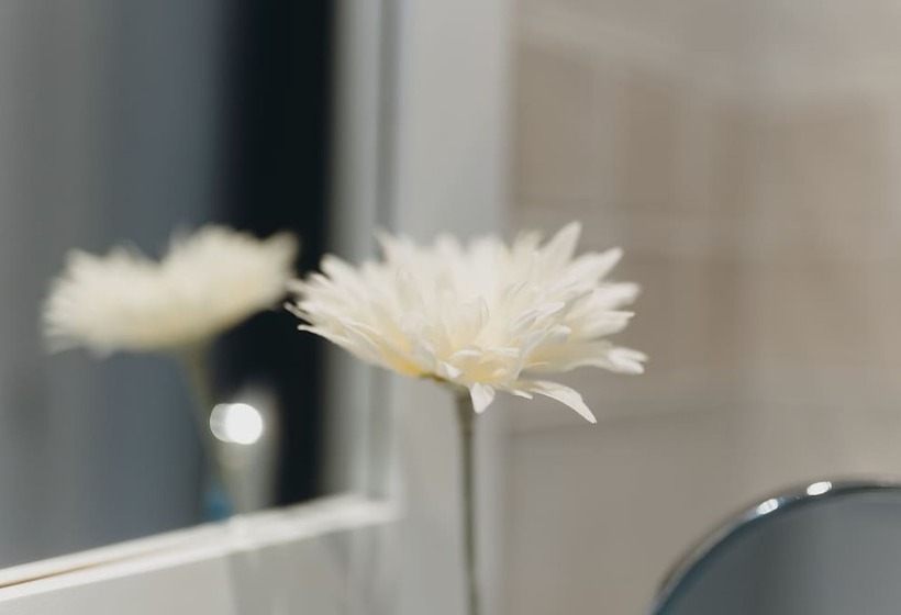 غرفة قياسية, Can Serrete