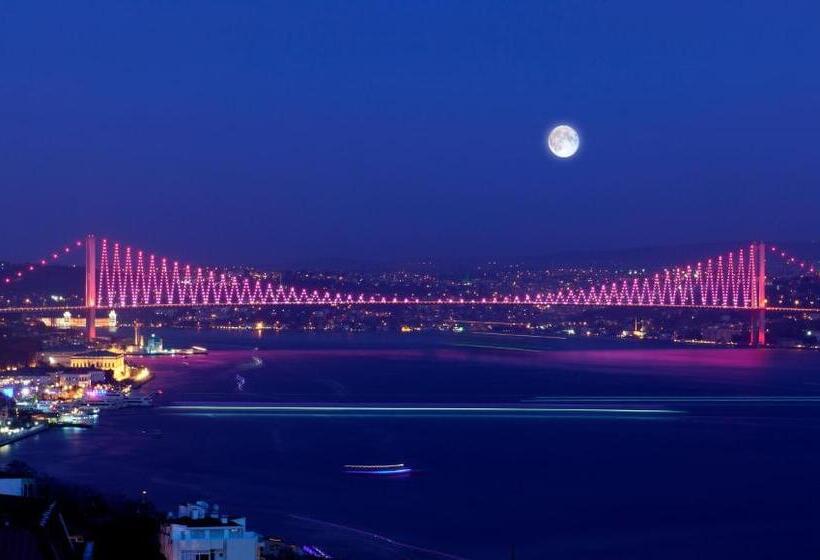 سوئیت رویال, Urban Suites