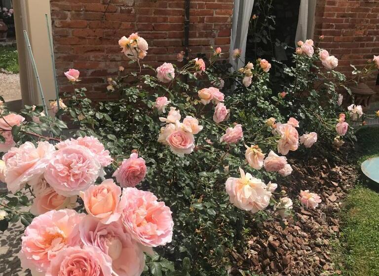 آپارتمان لوکس 1 خوابه, Villa Del Papa