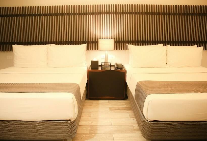 수피리어 룸, 1a Express