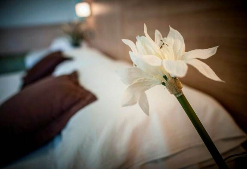 스탠다드 룸, Amalfi   Smart