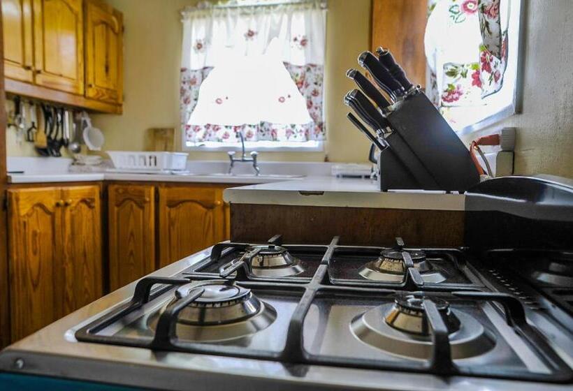 استودیوی لوکس, Eko Cozy Guest House