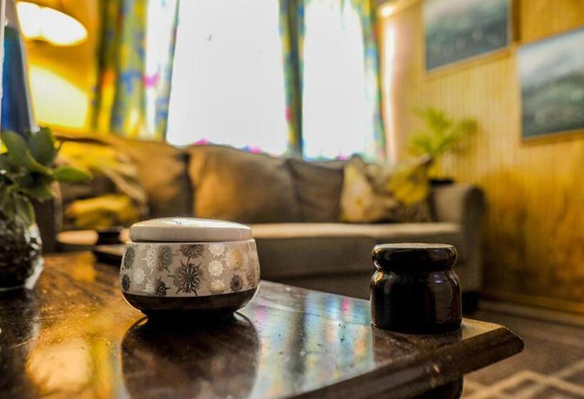 استودیوی لوکس, Eko Cozy Guest House