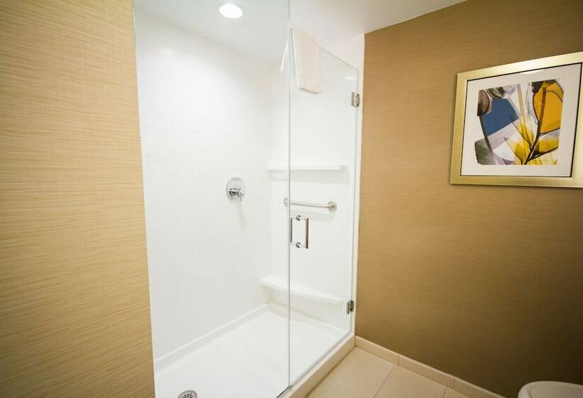Люкс, Fairfield Inn & Suites By Marriott Denver Northeast/brighton