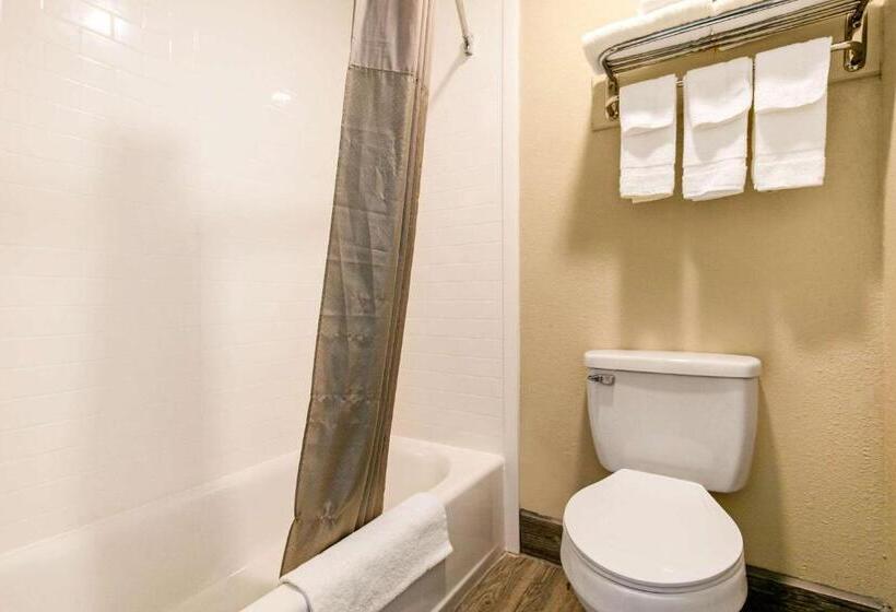 Номер Стандарт, Rodeway Inn