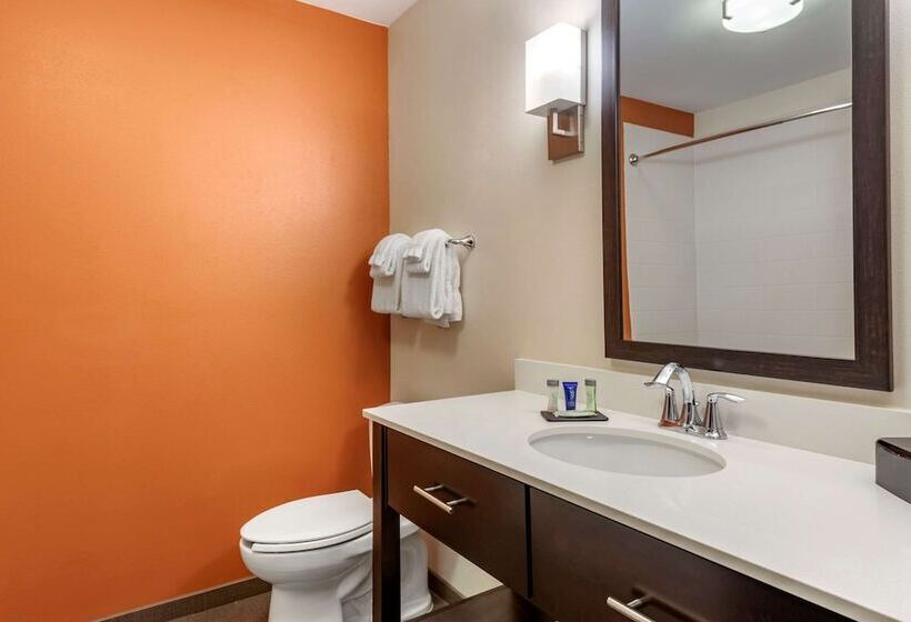 适合残疾人士使用的套间, Sleep Inn & Suites Moab Near Arches National Park