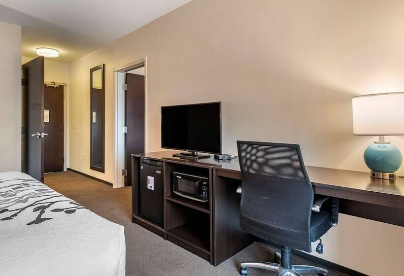 适合残疾人士使用的套间, Sleep Inn & Suites Moab Near Arches National Park