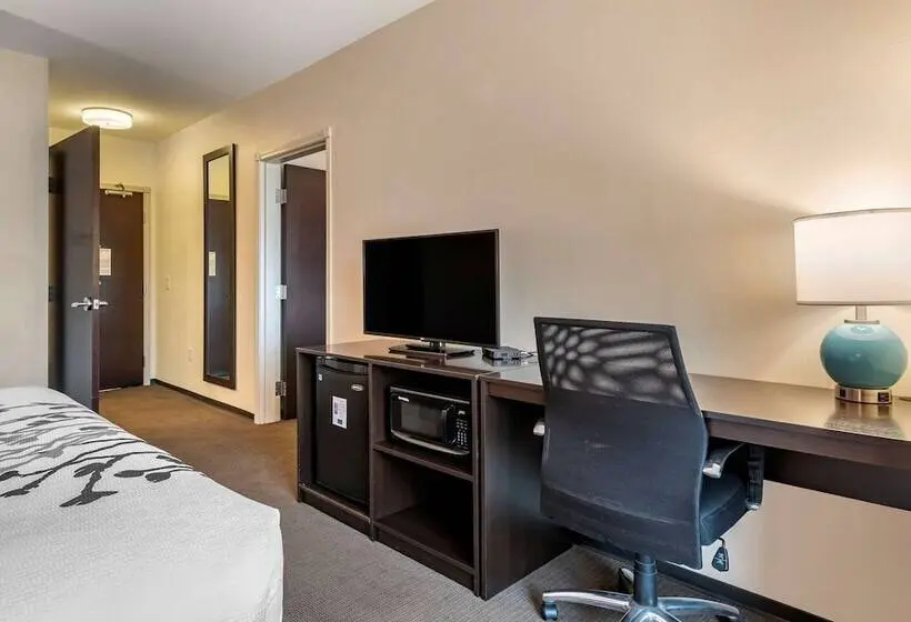 身障者適用スイートルーム, Sleep Inn & Suites Moab Near Arches National Park