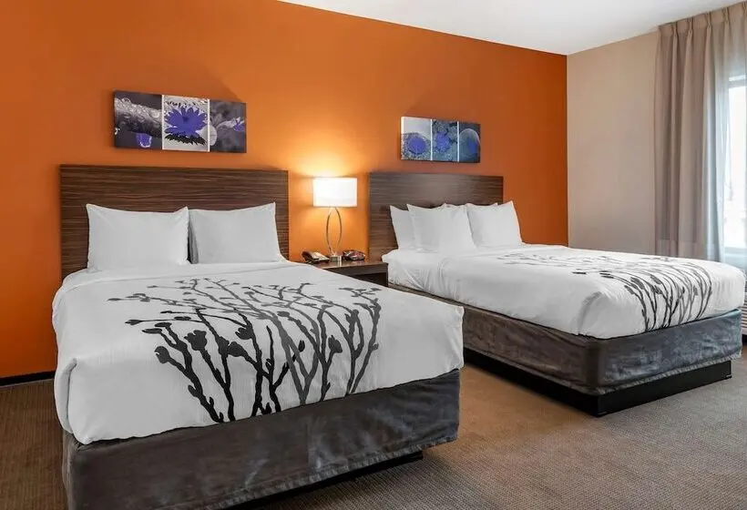 身障者適用スイートルーム, Sleep Inn & Suites Moab Near Arches National Park