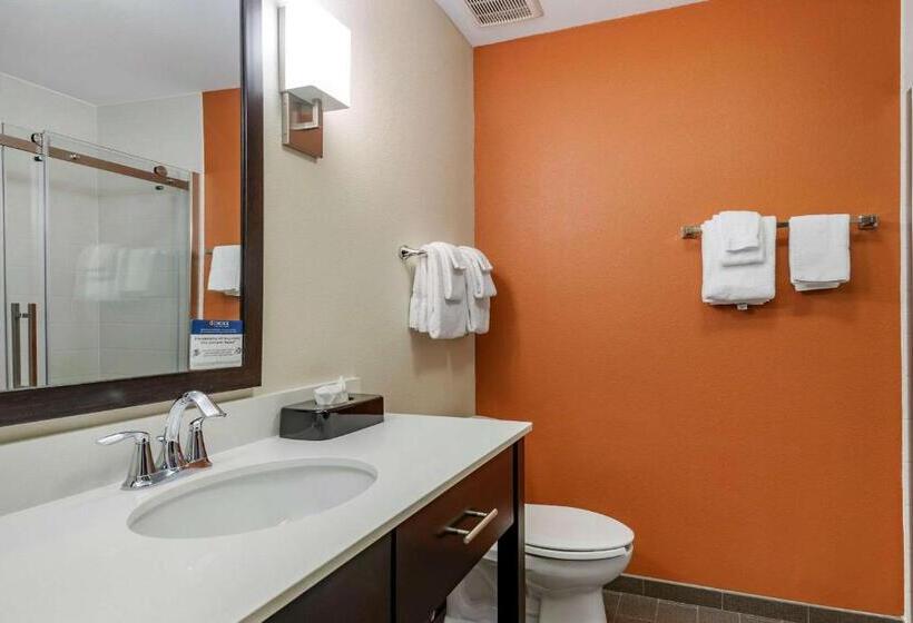 带大床的标准间, Sleep Inn & Suites Moab Near Arches National Park