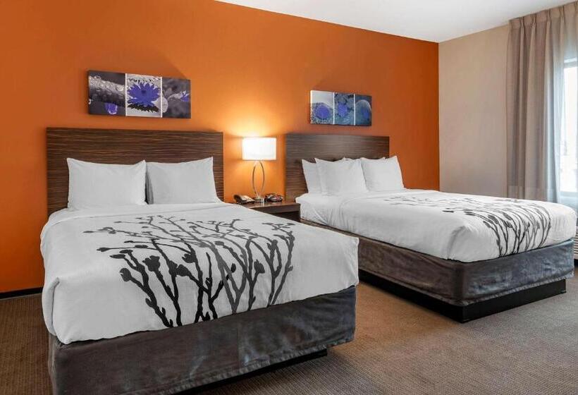 标准间, Sleep Inn & Suites Moab Near Arches National Park