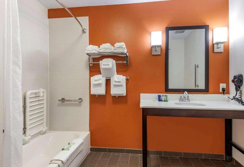 适合残疾人使用的标准间, Sleep Inn & Suites Moab Near Arches National Park