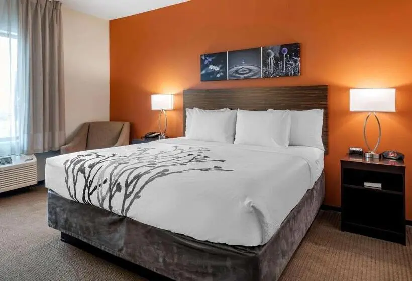 身障者適用スイートルーム, Sleep Inn & Suites Moab Near Arches National Park
