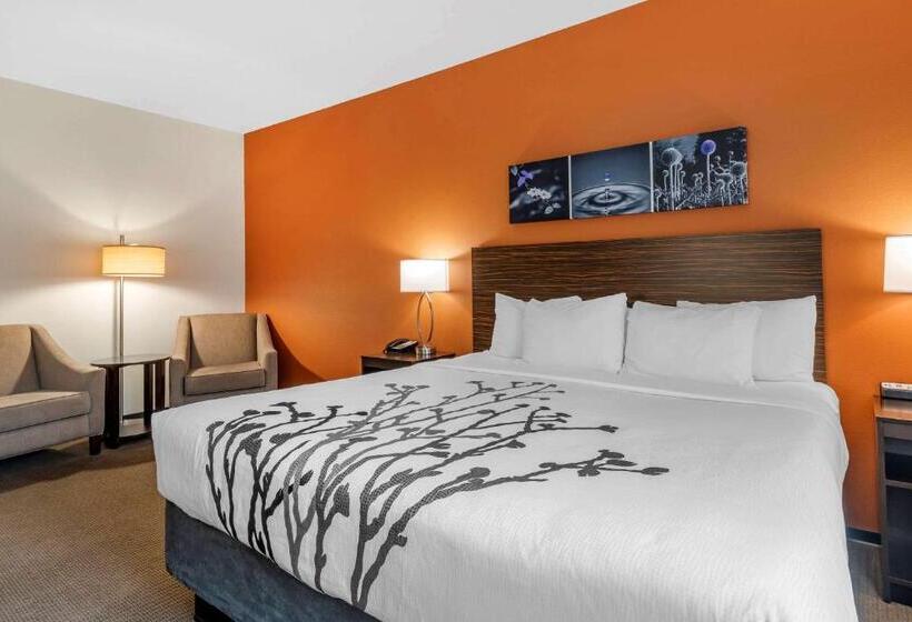 Люкс Адаптированный для Инвалидов, Sleep Inn & Suites Moab Near Arches National Park
