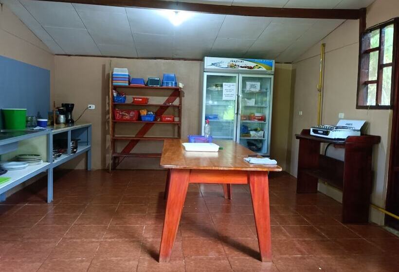 تختخواب در اتاق مشترک, Martinas Place