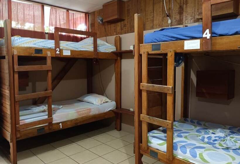 تختخواب در اتاق مشترک, Martinas Place