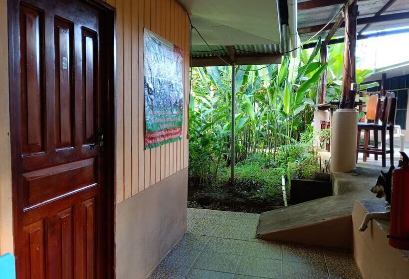 اتاق استاندارد سه نفره, Martinas Place