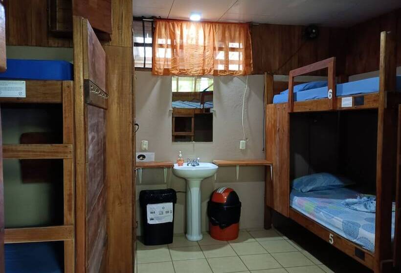 تختخواب در اتاق مشترک, Martinas Place