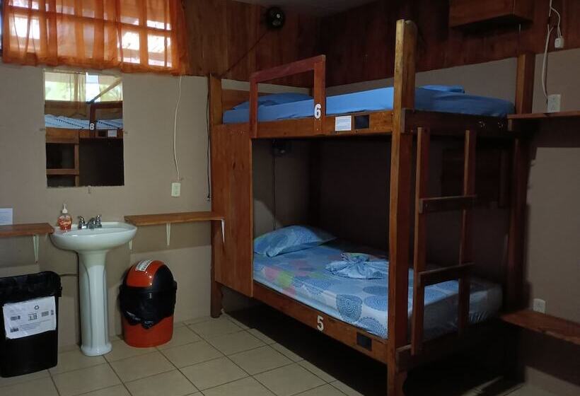 تختخواب در اتاق مشترک, Martinas Place