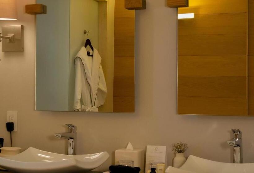 اتاق استاندارد, Cartesiano Boutique & Wellness