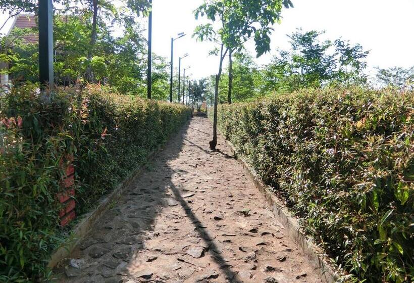 带花园景观的标准洋房, Greenhouse Retreat