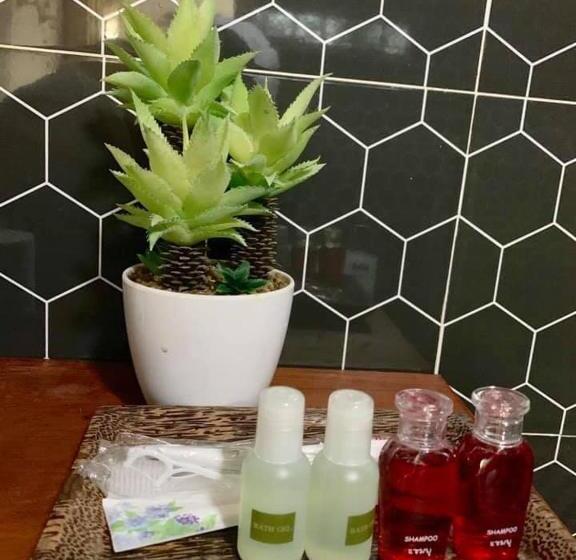 标准平房, Greenhouse Retreat