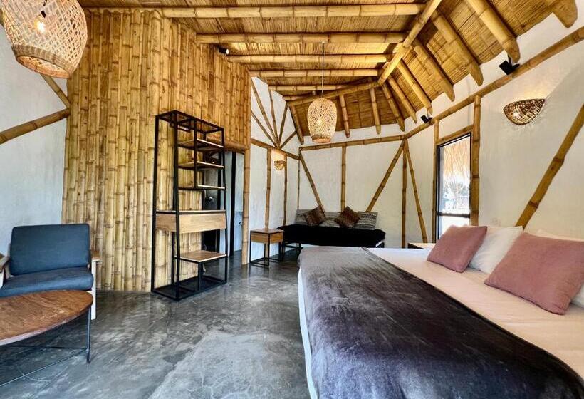 Номер Стандарт, San Agustin Masaya Collection