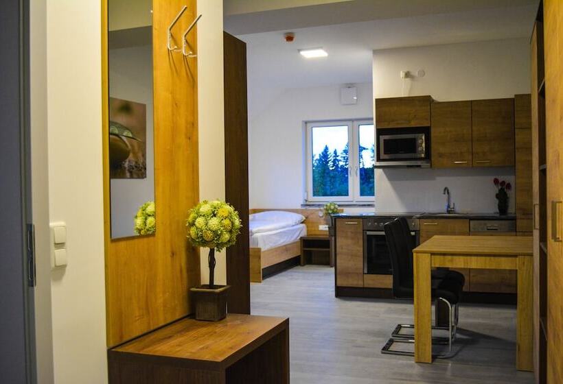 Апартаменты 2 Спальни, Wels Inn