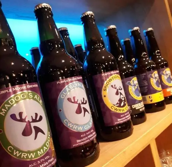 ベーシックルーム, Ty Glyndwr Bunkhouse, Bar And Cafe