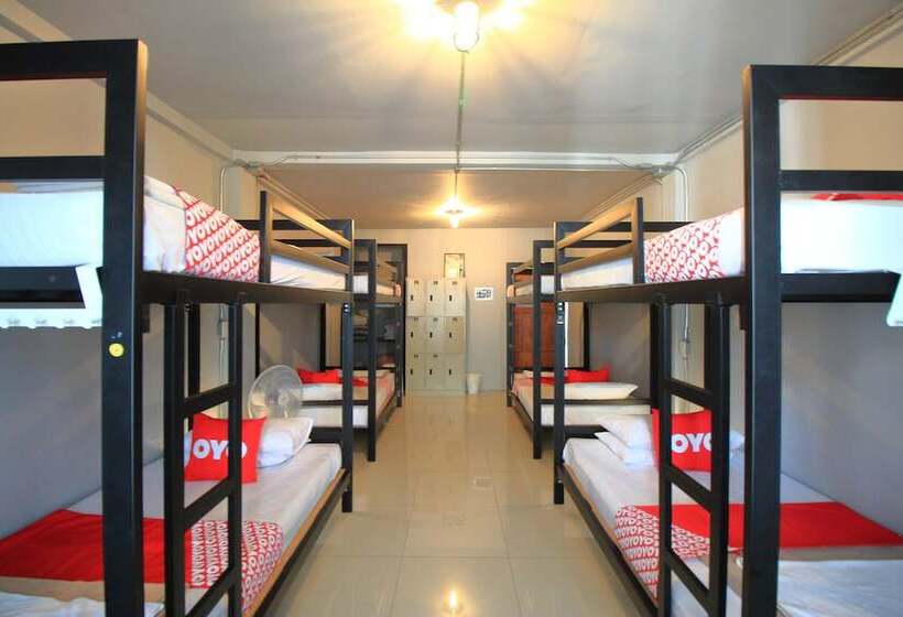 تختخواب در اتاق مشترک, Guyasuka Hostel&cafe