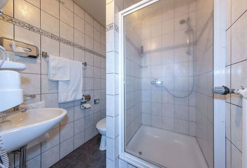 스탠다드 트리플 룸, Gasthof Zum Siegburger