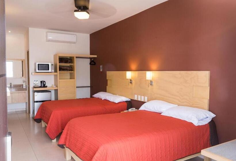 Номер Стандарт, Nova