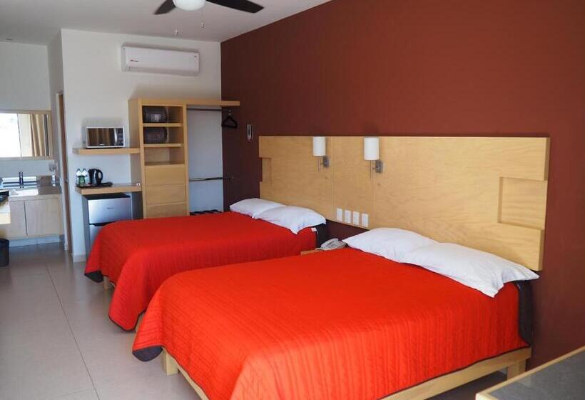 Номер Стандарт, Nova