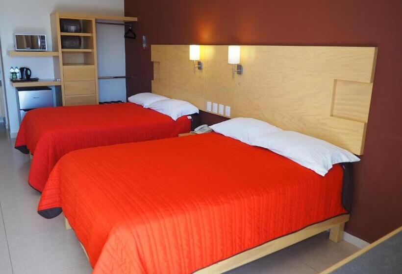 Номер Стандарт, Nova