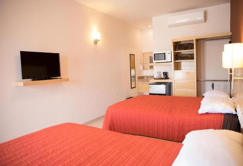 Номер Стандарт, Nova