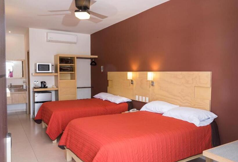 Номер Стандарт, Nova