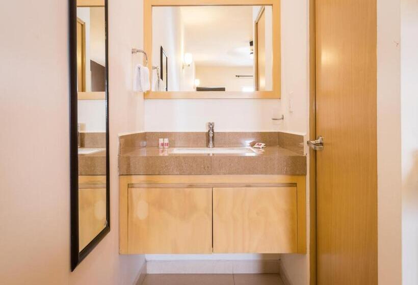 Номер Стандарт, Nova