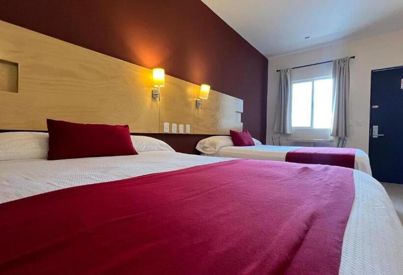 Номер Стандарт, Nova