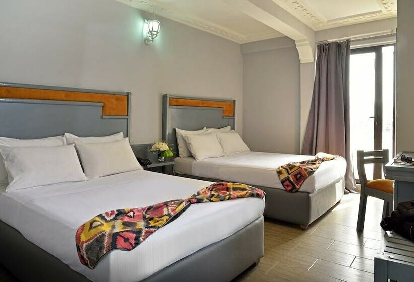 اتاق استاندارد, Rio