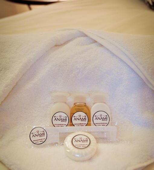 إستديو عائلى, Anami Hotel Boutique