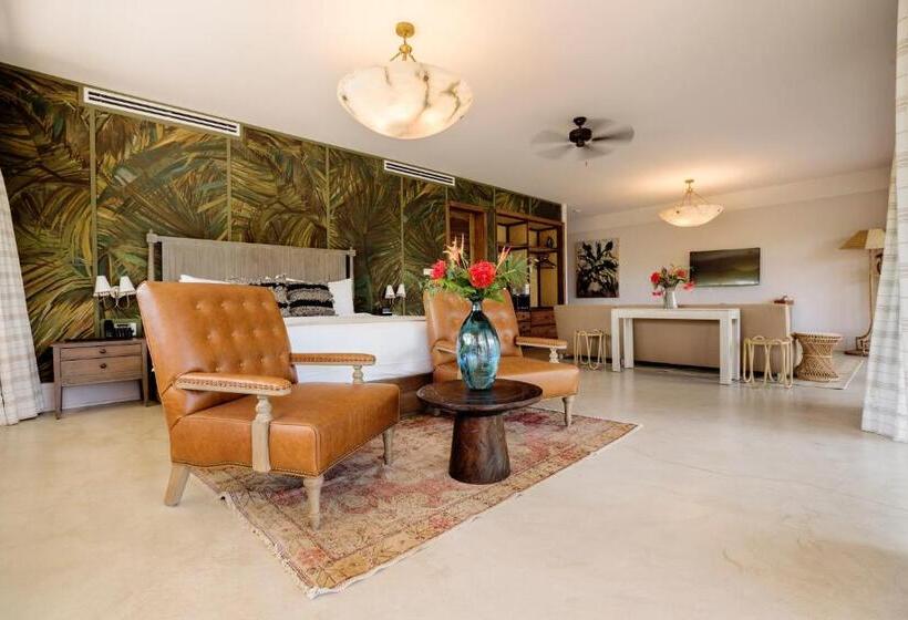 اتاق استاندارد با تخت بزرگ, Itz Ana Resort & Residences