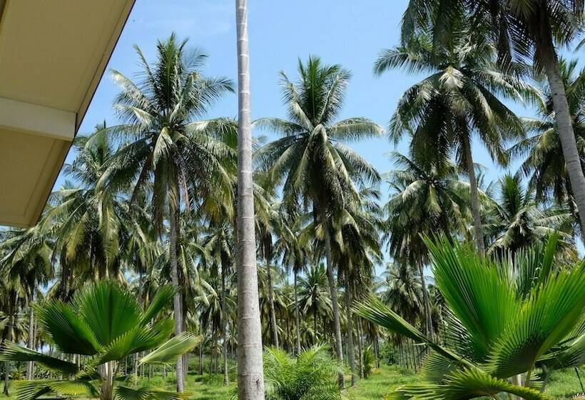 スタンダードバンガロー, Khao Lak Golden Coconut Resort