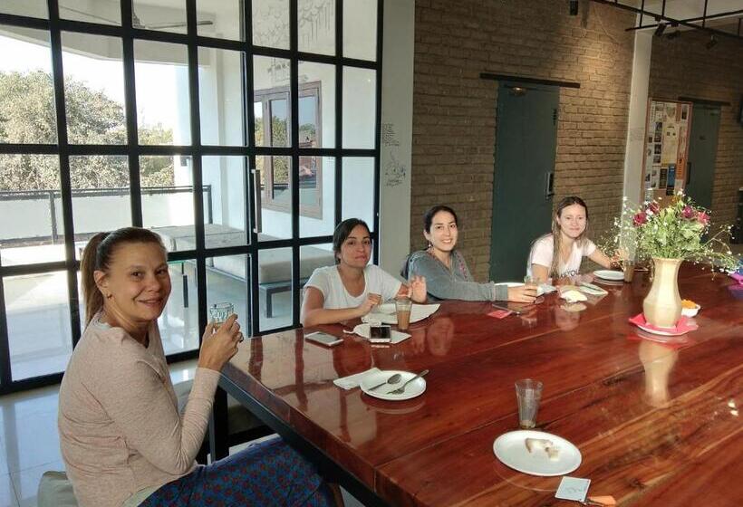 تختخواب در اتاق مشترک, Thc Backpackers Jodhpur