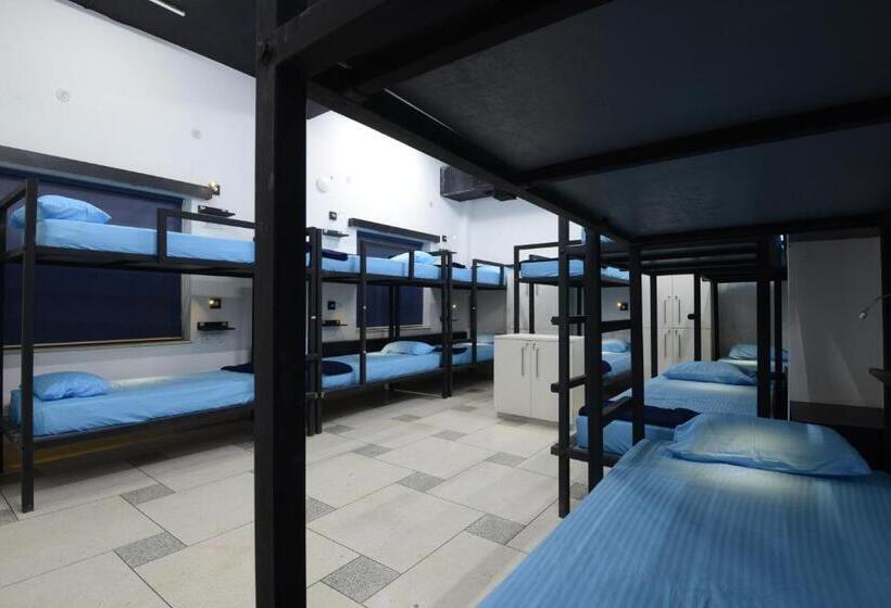 ルームシェアのワンベッド, Thc Backpackers Jodhpur