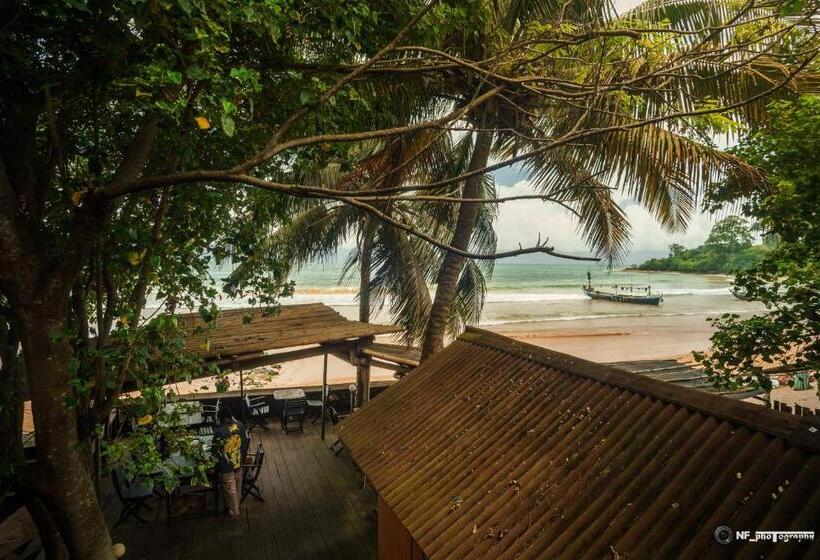 Номер Стандарт Вид на Море с Балконом, Busua Inn