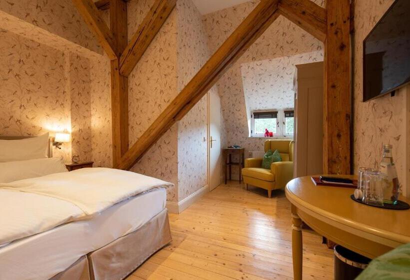 스탠다드 룸, Gästehaus Schloss Saareck