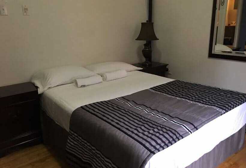 חדר סופריור, Mini Inc