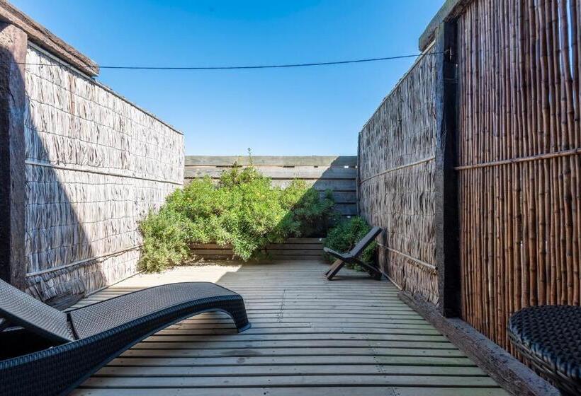 آپارتمان 1 خوابه, Pichilemu Apart