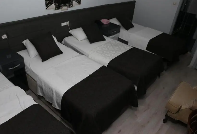 اتاق استاندارد چهارنفره با چشمانداز باغ, Asus Palmiye Otel