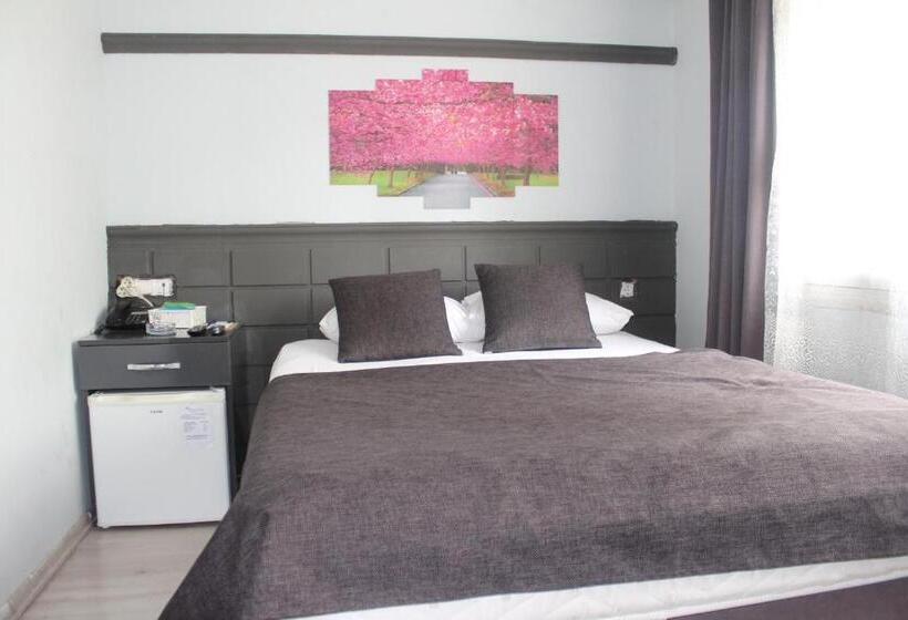 اتاق استاندارد, Asus Palmiye Otel